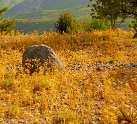 Similar image 11453226