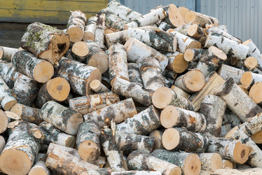 Similar image 11457991