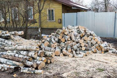 Similar image 11457992