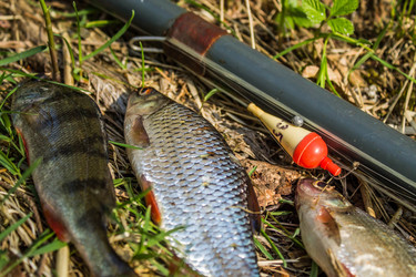 Similar image 11453037