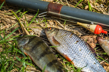 Similar image 11453038