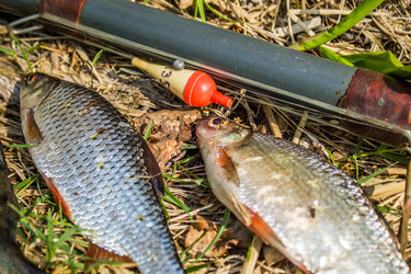 Similar image 11453040