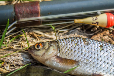 Similar image 11453043