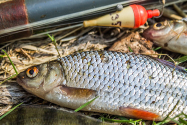 Similar image 11453044