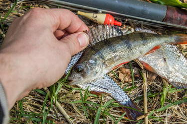 Similar image 11453045