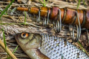 Similar image 11453046