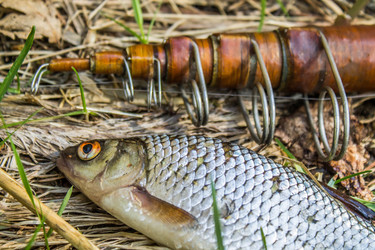 Similar image 11453047