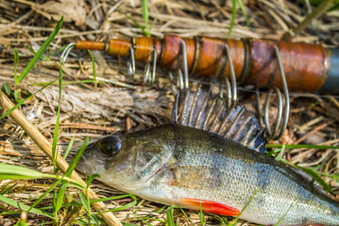 Similar image 11453048