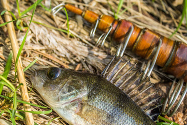 Similar image 11453049