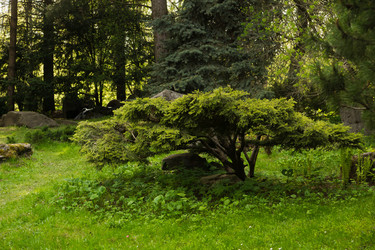 Similar image 11453676