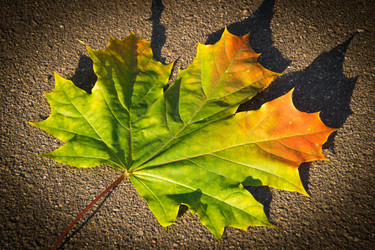 Similar image 11453680