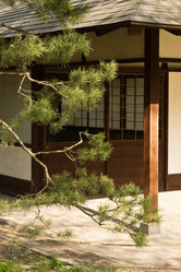 Similar image 11453686