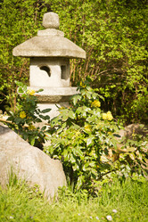 Similar image 11453688