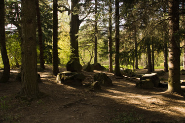 Similar image 11453689