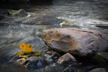 Similar image 11453806