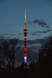 Similar image 11453859