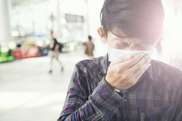 Similar image 11453262