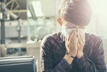 Similar image 11453265