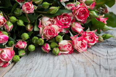 Similar image 11453363