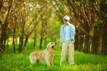 Similar image 11450956