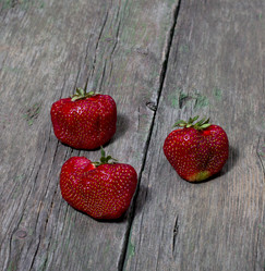 Similar image 11452071