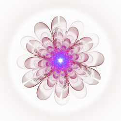 Similar image 11454441