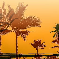 Similar image 11454613