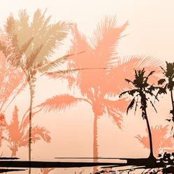 Similar image 11454630