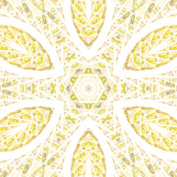 Similar image 11454647