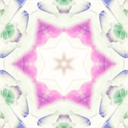 Similar image 11454651