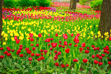 Similar image 11452980