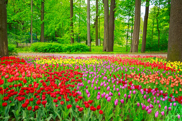 Similar image 11452981