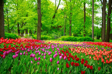 Similar image 11452982