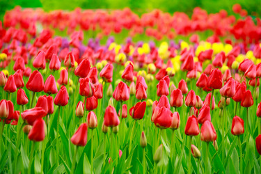 Similar image 11452983