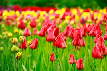 Similar image 11452984