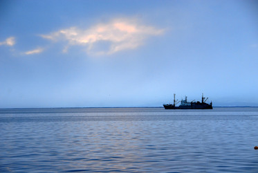 Similar image 11456932