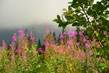 Similar image 11456951