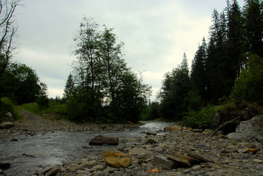 Similar image 11456953