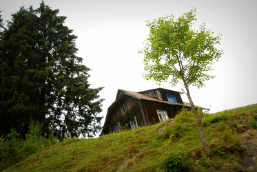 Similar image 11456955