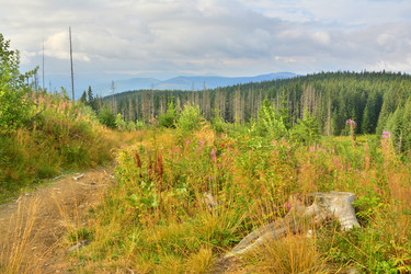 Similar image 11456956