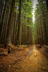 Similar image 11456957