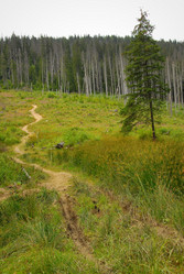 Similar image 11456959