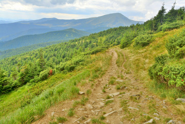 Similar image 11456961