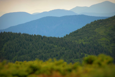 Similar image 11456895