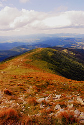 Similar image 11456904