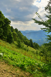 Similar image 11456966