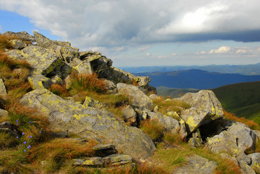 Similar image 11456968