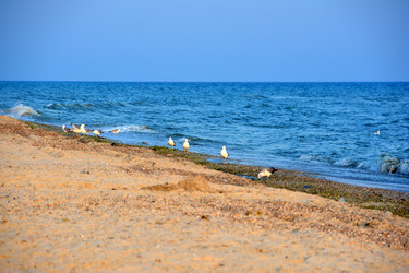 Similar image 11456969