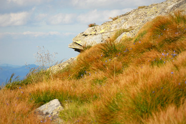 Similar image 11456972