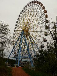 Similar image 11456977